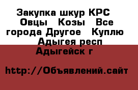 Закупка шкур КРС , Овцы , Козы - Все города Другое » Куплю   . Адыгея респ.,Адыгейск г.